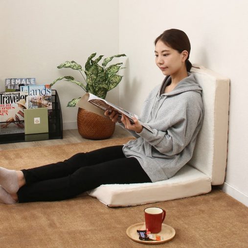 「3WAYフロアクッション」2,769円