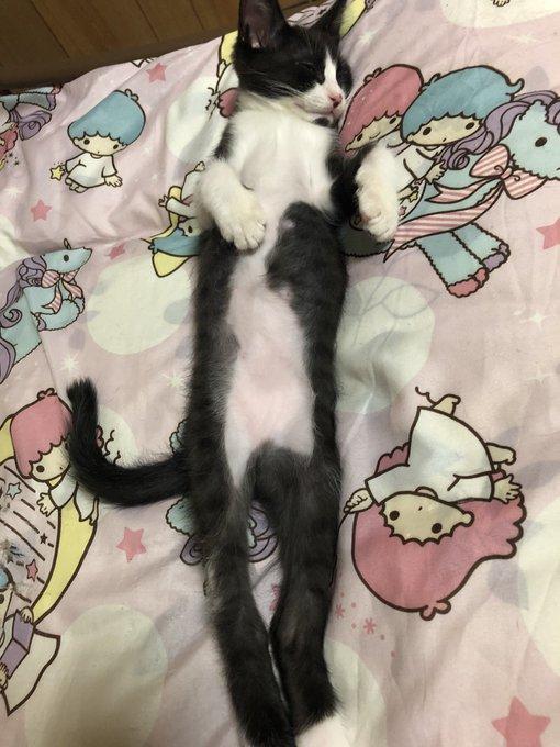 たいやきくん